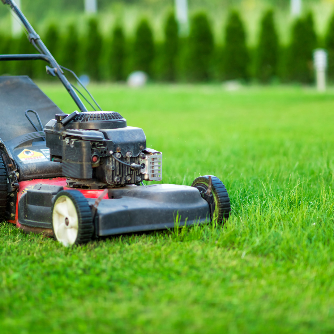 Professional lawn mowing service creating beautiful striped patterns